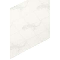 Ruban antid&eacute;rapant de premi&egrave;re qualit&eacute;, 4" x 60', Transparent Nuna Depot Inc.
