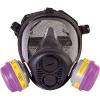 Respirateur &agrave; masque complet de s&eacute;rie RU6500 de North, Silicone, Moyen Nuna Depot Inc.