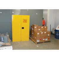 Armoire pour produits inflammables, 45 gal., 2 Porte(s), 43" La x 65" h x 18" p Nuna Depot Inc.