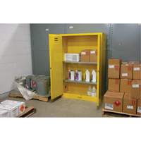 Armoire pour produits inflammables, 45 gal., 2 Porte(s), 43" La x 65" h x 18" p Nuna Depot Inc.