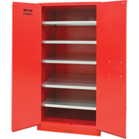 Paint/Ink Cabinet, 96 gal., 5 Shelves Nuna Depot Inc.