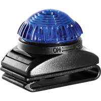 Guardian Warning Light, Continuous/Flashing, Blue Nuna Depot Inc.