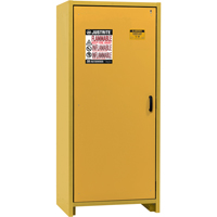 Armoire d'entreposage 30 minutes s&eacute;curitaire et conforme &agrave; la norme EN, 30 gal., 1 Porte(s), 34,02" La x 76,65" h x 24,21" p Nuna Depot Inc.