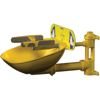 Halo Face/Eyewash Stations, Wall-Mount Installation, Plastic Bowl Nuna Depot Inc.