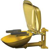 Halo Face/Eyewash Stations, Wall-Mount Installation, Plastic Bowl Nuna Depot Inc.