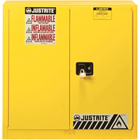 Armoire de s&eacute;curit&eacute; pour produits inflammables Ex Sure-Grip, 30 gal., 2 Porte(s), 36" La x 35" h x 24" p Nuna Depot Inc.