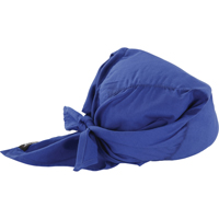 Foulards de refroidissement en triangle Chill-Its 6710CT, Bleu Nuna Depot Inc.