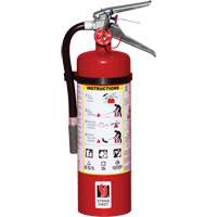 Extincteur d'incendie, ABC, Capacit&eacute; 5 lb Nuna Depot Inc.