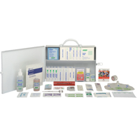Office Standard Kit, Class 1 Medical Device, Metal Box Nuna Depot Inc.