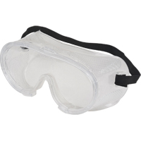 Z300 Safety Goggles, Clear Lens, Anti-Scratch, Direct Vent Nuna Depot Inc.