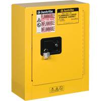 Mini-armoires de s&eacute;curit&eacute; Sure-Grip EX pour produits inflammables, 2 gal., 1 Porte(s), 17" La x 22" h x 8" p Nuna Depot Inc.