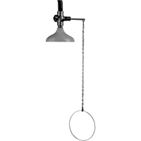 Lifesaver&reg; Emergency Overhead Showers, Ceiling-Mount Nuna Depot Inc.