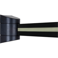 TensaBarrier&reg; Wall Mounted Units, Plastic, Screw Mount, 15', Black Tape Nuna Depot Inc.