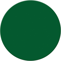 Armor Stripe Lean/5S Markers, Circle, 6" L x 6" W, Green, Plastic Nuna Depot Inc.