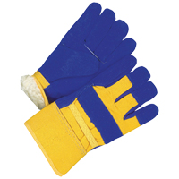 Ladies Fitter Gloves, Ladies, Grain Cowhide Palm, Cotton Inner Lining Nuna Depot Inc.