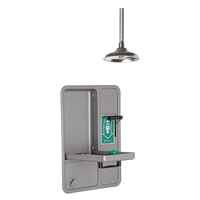 Eye/Face Wash and Shower, Ceiling-Mount Nuna Depot Inc.