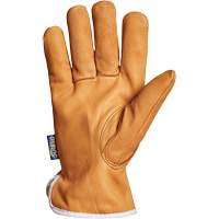 Gants de conducteur Endura, Petit, Paume en Cuir fleur de ch&egrave;vre, Thinsulate Nuna Depot Inc.