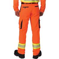 Ripstop High-Visibility Cargo Pants, Polyester, 28, High Visibility Orange Nuna Depot Inc.