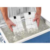 Chill-Its&reg; 6250 Phase Change Cooling Vest Packs Nuna Depot Inc.