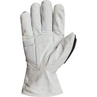 Gants r&eacute;sistant &agrave; la coupe et aux chocs Endura 378GKGVBE, Petit, Paume en Ch&egrave;vre, Poignet Conducteur Nuna Depot Inc.