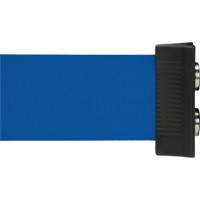 Wall Mount Barrier with Magnetic Tape, Steel, Screw Mount, 7', Blue Tape Nuna Depot Inc.