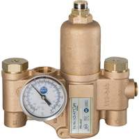 Robinet mitigeur thermostatique pour luminaires durgence Navigator EFX20, 30 gal./min Nuna Depot Inc.