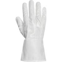 Ground Hog Electro-Static Spray Painting Gloves, Size Large, 11.5" L, Polyurethane Nuna Depot Inc.