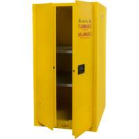 Armoire pour produits inflammables, 60 gal., 2 Porte(s), 34" La x 65" h x 34" p Nuna Depot Inc.