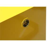 Armoire pour produits inflammables, 12 gal., 2 Porte(s), 43" La x 18" h x 18" p Nuna Depot Inc.