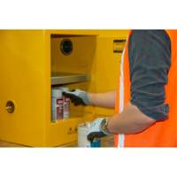Armoire pour produits inflammables, 4 gal., 1 Porte(s), 17" La x 22" h x 18" p Nuna Depot Inc.