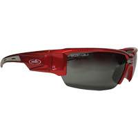 Hartley Safety Glasses, Grey Lens, Polarized, Meets/Exceeds CSA Z94.3 Nuna Depot Inc.