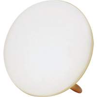 Lampe &agrave; luminoth&eacute;rapie pour le traitement de la d&eacute;pression saisonni&egrave;re Nuna Depot Inc.