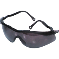 Lunettes de s&eacute;curit&eacute; North The Edge, Lentille Fum&eacute;e, Antibu&eacute;e/Anti-&eacute;gratignures, R&eacute;pond ou surpasse la norme CSA Z94.3 Nuna Depot Inc.