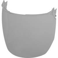 Face Shield Replacement Lenses, Polycarbonate, Grey/Smoke Tint Nuna Depot Inc.