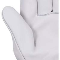 535G Beige Driver's Gloves, Small, Grain Cowhide Palm Nuna Depot Inc.