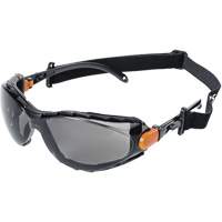XPS502 Lunettes de s&eacute;curit&eacute; &eacute;tanches, Lentille Fum&eacute;e, Antibu&eacute;e/Anti-&eacute;gratignures Nuna Depot Inc.