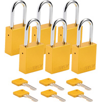 Lockout Padlock, Safety Padlock, Keyed Different, Aluminum, 1-1/2" Width Nuna Depot Inc.