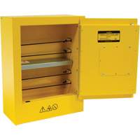 Armoire de s&eacute;curit&eacute; miniature pour produits inflammables, 2 gal., 1 Porte(s), 17" La x 22" h x 8" p Nuna Depot Inc.
