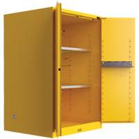 Armoire de s&eacute;curit&eacute; pour produits inflammables Utili-Guard+, 45 gal., 2 Porte(s), 43" La x 65" h x 22" p Nuna Depot Inc.