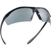 Sentinel Ballistic Protection Safety Glasses, Smoke Lens, Anti-Fog/Anti-Scratch/Polarized, ANSI Z87+ Nuna Depot Inc.