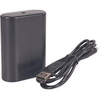 Batterie externe portative N-Ferno avec cordon USB-C Nuna Depot Inc.