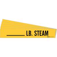 "LB. Steam" Pipe Markers, Self-Adhesive, 2-1/4" H x 2-3/4" W, Black on Yellow Nuna Depot Inc.
