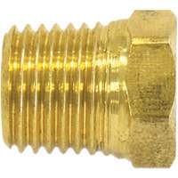 Bouchon de tuyau (t&ecirc;te hexagonale), 1/2" dia., Laiton Nuna Depot Inc.