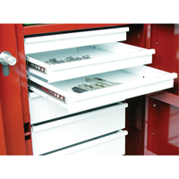 &eacute;tabli roulant, 49-7/8" la x 40-5/8" h x 26-7/8" p, Capacit&eacute; de 24,6 pi³ Nuna Depot Inc.