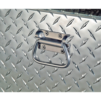 Aluminum Fuel Transfer Tank & Chest, Aluminum, 74 gal. Capacity, Silver Nuna Depot Inc.