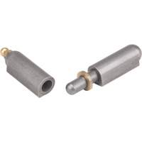 Charni&egrave;re &agrave; souder, 0,512" dia. x 3,15" lo, Acier doux a/goupille fixe en acier Nuna Depot Inc.