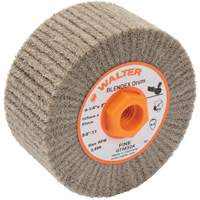 Blendex Surface Conditioning Drum, 4-1/4" Dia. x 2" W, 5/8"-11 Arbor, Fine Grit Nuna Depot Inc.