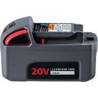 IQV20 High Capacity Battery, Lithium-Ion, 20 V, 5 Ah Nuna Depot Inc.