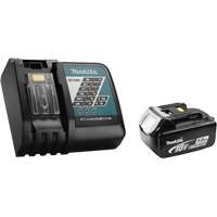 Rapid Battery Charger Kit, 18 V, Lithium-Ion Nuna Depot Inc.