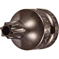Embout &agrave; ins&eacute;rer, Torx inviolable, 8 x 3/4" lo, Prise 1/4" Nuna Depot Inc.